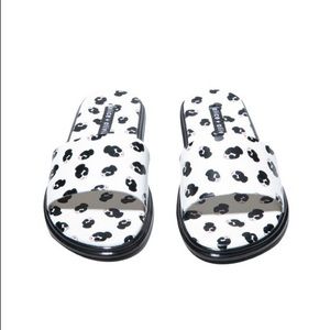 Nwb Alice and Olivia slides